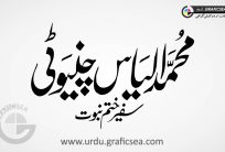 Ilyas Chinioti Name Urdu Font Calligraphy