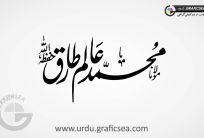 Moulana Alam Tariq Urdu Font Calligraphy