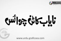 Nayaab Cotton Choice Urdu Font Calligraphy
