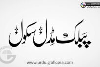 Public Middle School Urdu Font Calligraphy