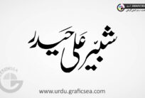 Shabir Ali Haider Name Urdu Font Calligraphy