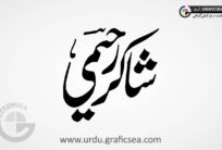 Shakir Raheemi Urdu Font Calligraphy