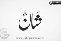 Shan Name Urdu Font Calligraphy
