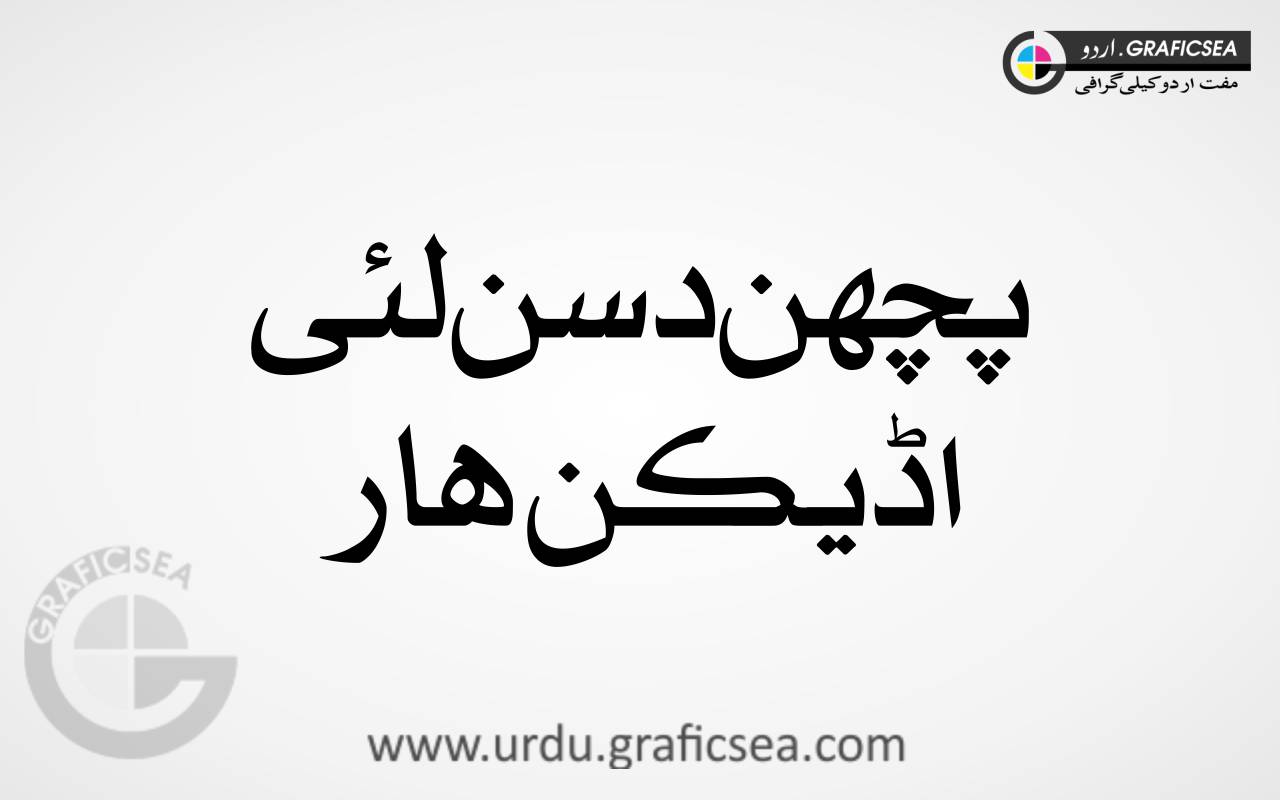 Udikan Har Punjabi Font Calligraphy