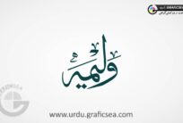 Walima Wedding Card Urdu Font Calligraphy