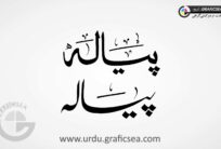 2 Font Style Payalaa word Urdu Calligraphy