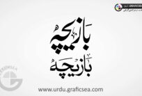 2 Words Bazicha Font Urdu Calligraphy