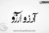 Arzoo, Arzu 2 Type Font Words Urdu Calligraphy