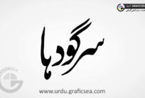 City Name Sargodha Urdu Calligraphy