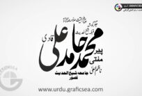Peer Mufti Muhammad Ali Qadri Urdu Name Calligraphy