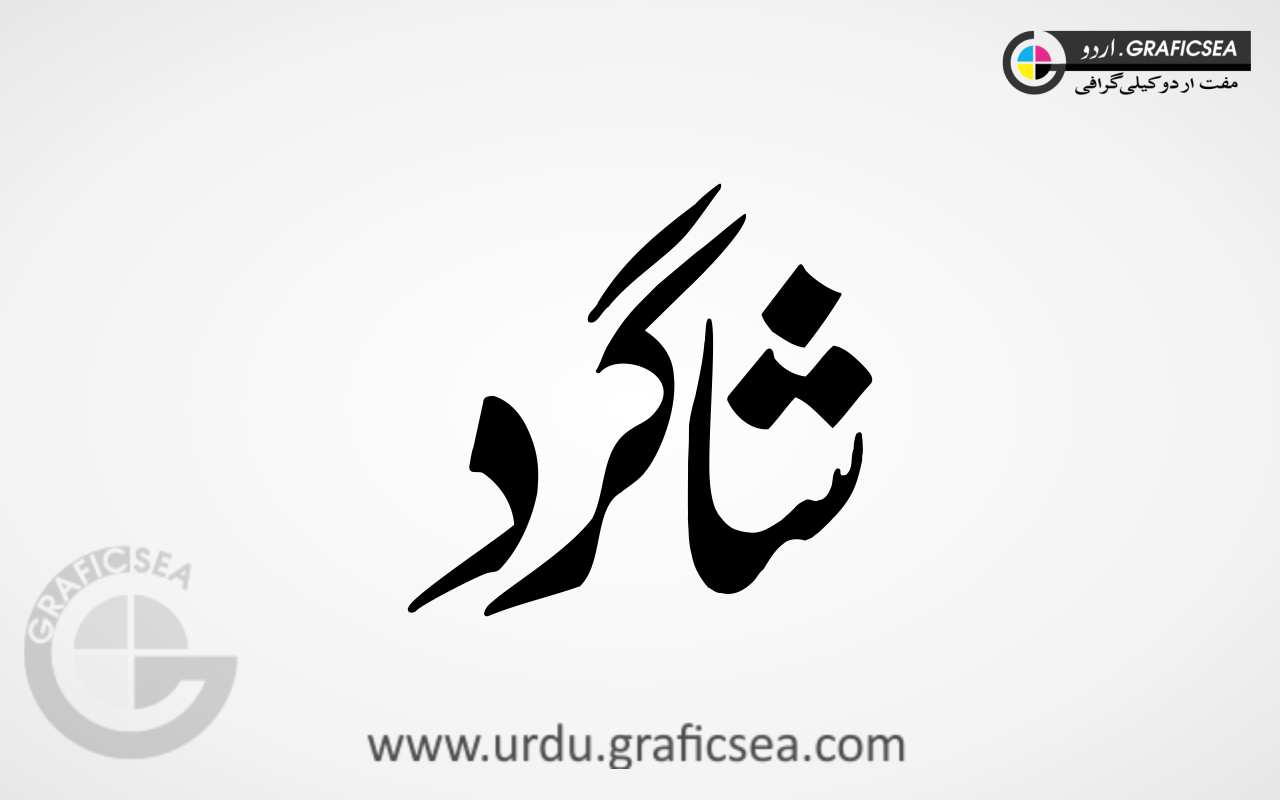 Shagird Urdu Word Nastaliq Font Calligraphy