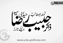 Zakir Habib Raza Haidri Urdu Name Calligraphy