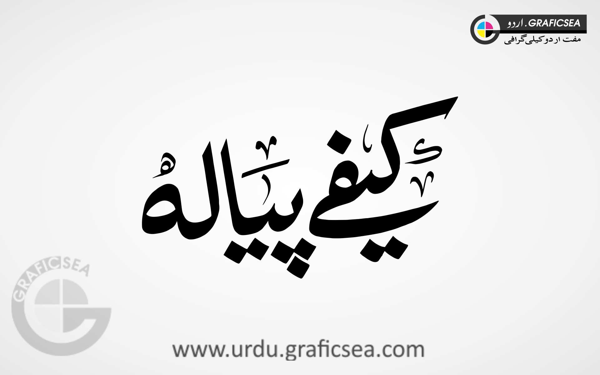 Cafe Pialaa Shop Title Urdu Calligraphy