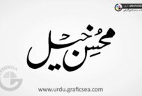 Mohsin Khail Word Urdu Calligraphy