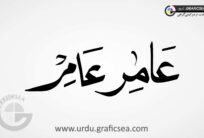 Muslim Boy Name Amir Urdu Calligraphy