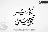 Nahve meer Islamic Education Urdu Calligraphy