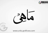 Nask Font Mahi Word Urdu Calligraphy