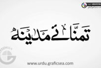 Nask Font Taman naye Madina Urdu Calligraphy