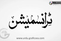 Nask Font Transmition Word Urdu Calligraphy