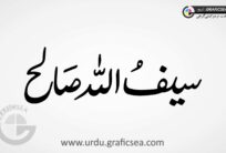 Saif Allah Salih Name Urdu Calligraphy