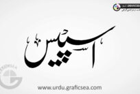 Space English Word Urdu Calligraphy