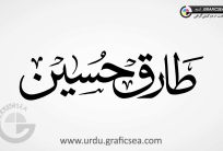 Tariq Hussain, Tareeq Hossain Name Urdu Calligraphy