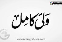 Wali Kamil Word Urdu Calligraphy