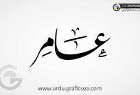 Aamir Boy Name Urdu Calligraphy
