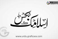 Islamic Books Banner Title Urdu Calligraphy