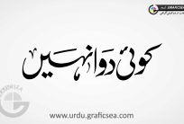 Koe Dawa Nahi Word Urdu Calligraphy