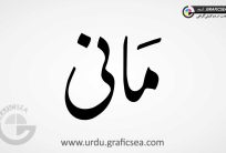 Maani Boy Name Urdu Calligraphy