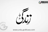 Nastalique Font Zindagi Word Urdu Calligraphy