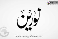 Noreen, Noorin Girl Name Urdu Calligraphy