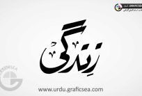 Riqa Font Zindagi Word Urdu Calligraphy